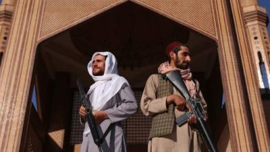 Фото - МИД РФ обвинил Запад в ухудшении ситуации с наркотиками в Афганистане