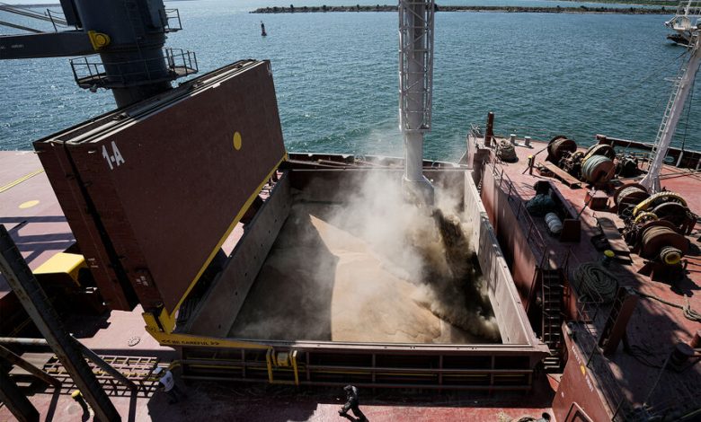Фото - Bloomberg: экспорт зерна из России подскочил почти в полтора раза в октябре-ноябре