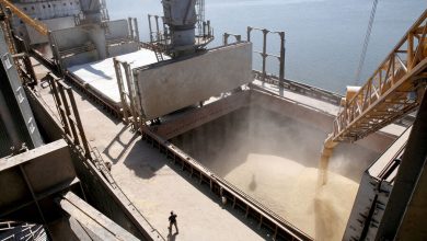 Фото - Украина предложила распространить «зерновую сделку» на порты Николаевской области